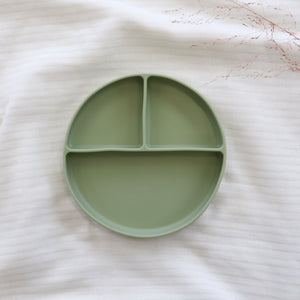 Suction Section Plate - Sage