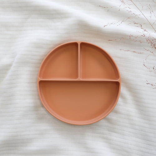 Suction Section Plate - Orange