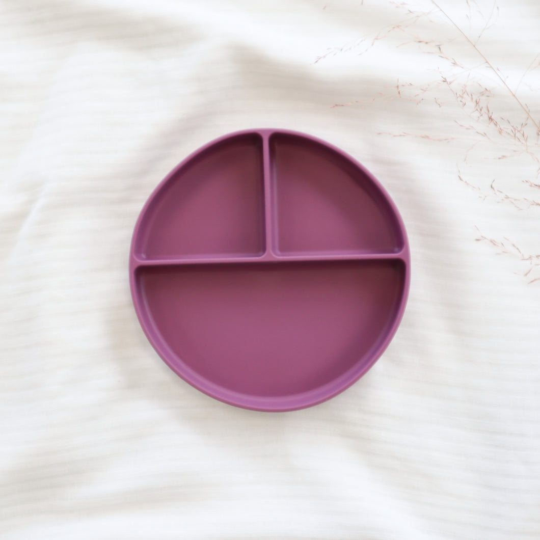Suction Section Plate - Purple